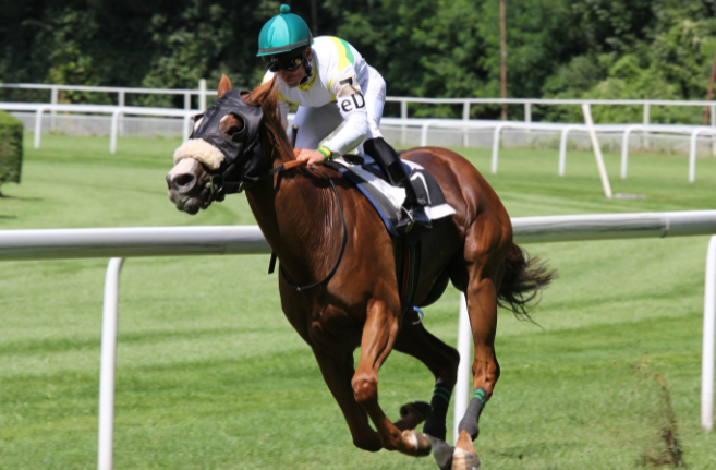 Horse Racing Terms Every Beginner Should Know