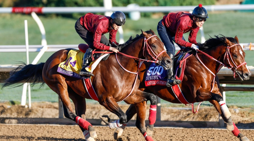 Horses Who Changed the Sport Forever