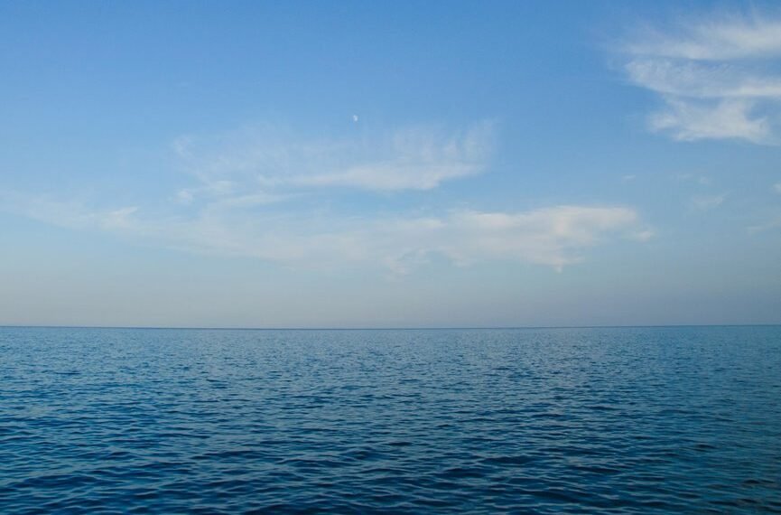 xpert horizon 601617377 digital expansion